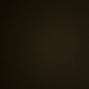 Meet your Posher, Gloria